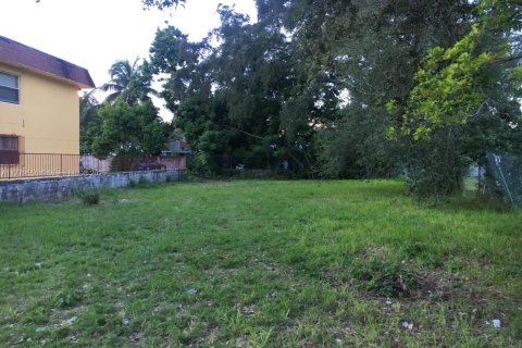 Купить земельный участок в Майами, Флорида № 1976216 - фото 1