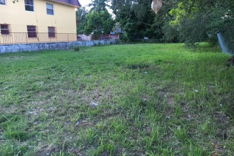 Купить земельный участок в Майами, Флорида № 1976216 - фото 8