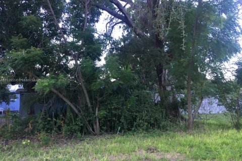 Купить земельный участок в Майами, Флорида № 1976216 - фото 7