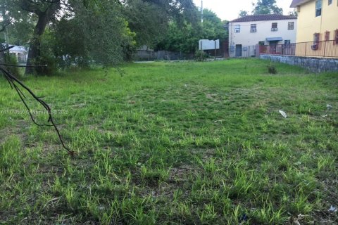 Купить земельный участок в Майами, Флорида № 1976216 - фото 3