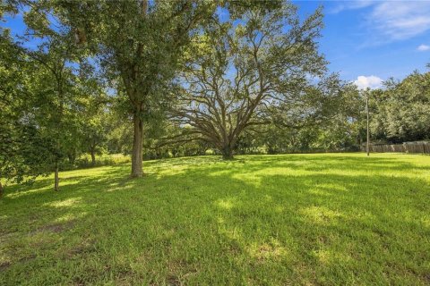 Condo in Clearwater, Florida, 2 bedrooms  № 2370845 - photo 13