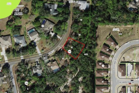 Land in Homosassa, Florida № 2163425 - photo 2