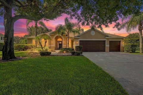 House in Lutz, Florida 4 bedrooms, 324.6 sq.m. № 2324564
