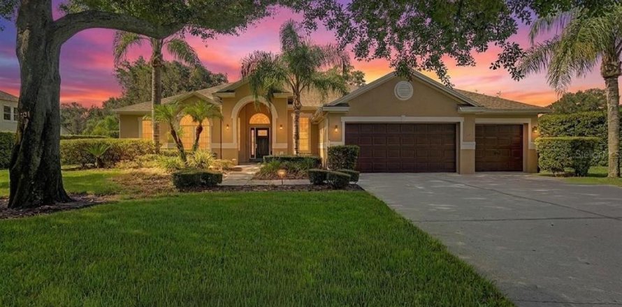 Casa en Lutz, Florida 4 dormitorios, 324.6 m2 № 2324564