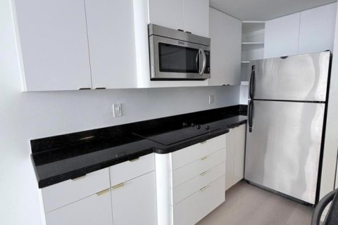 Copropriété à louer à Miami, Floride: 1 chambre, 59.46 m2 № 2273996 - photo 10