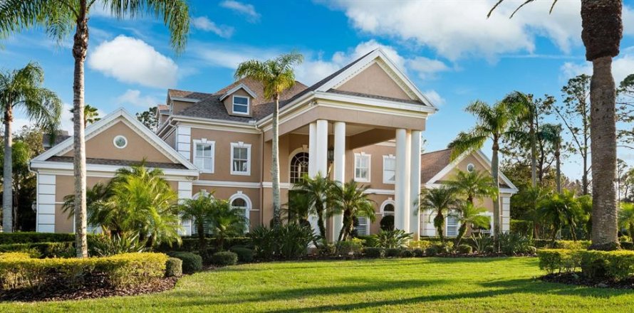 House in Lutz, Florida 5 bedrooms, 535.21 sq.m. № 1526843