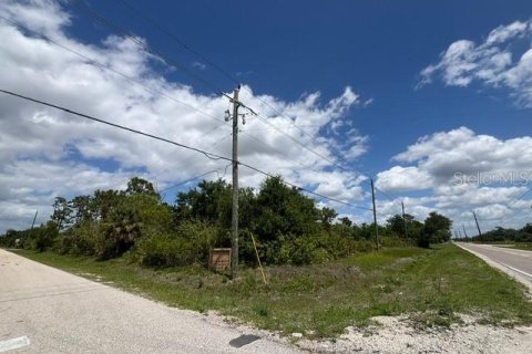 Terrain à vendre à Punta Gorda, Floride № 2099816 - photo 8