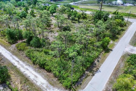 Terrain à vendre à Punta Gorda, Floride № 2099816 - photo 4