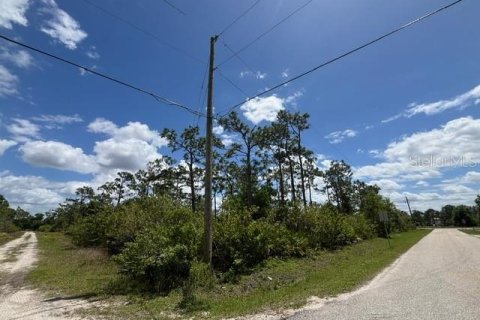Terrain à vendre à Punta Gorda, Floride № 2099816 - photo 6