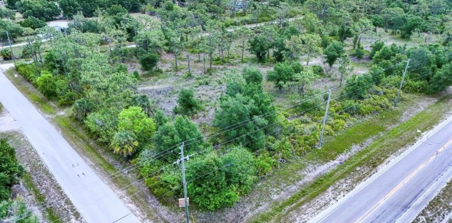 Terrain à Punta Gorda, Floride № 2099816