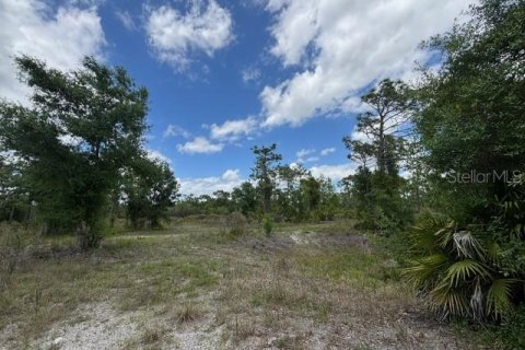 Terrain à vendre à Punta Gorda, Floride № 2099816 - photo 17