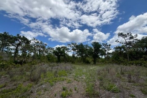 Terrain à vendre à Punta Gorda, Floride № 2099816 - photo 16