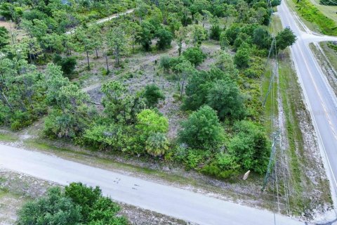 Terrain à vendre à Punta Gorda, Floride № 2099816 - photo 2