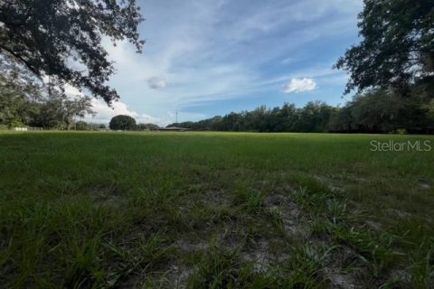 Commercial property in Tampa, Florida 580.64 sq.m. № 1757517 - photo 30