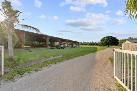 Commercial property in Tampa, Florida 580.64 sq.m. № 1757517 - photo 4