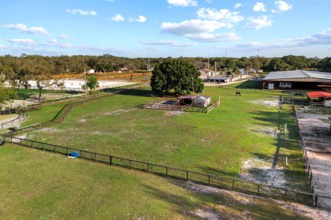 Commercial property in Tampa, Florida 580.64 sq.m. № 1757517 - photo 29