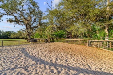 Commercial property in Tampa, Florida 580.64 sq.m. № 1757517 - photo 24