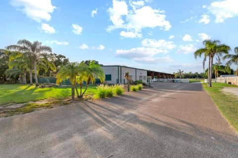 Commercial property in Tampa, Florida 580.64 sq.m. № 1757517 - photo 5