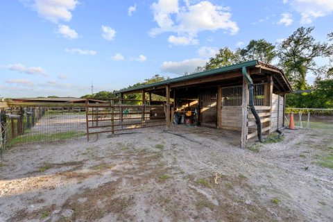 Commercial property in Tampa, Florida 580.64 sq.m. № 1757517 - photo 21