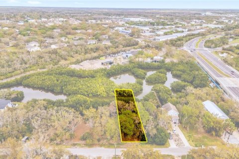 Terrain à vendre à Oldsmar, Floride № 2202867 - photo 5
