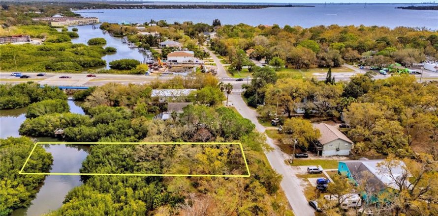 Terrain à Oldsmar, Floride № 2202867