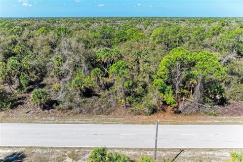 Land in Port Charlotte, Florida № 2228977