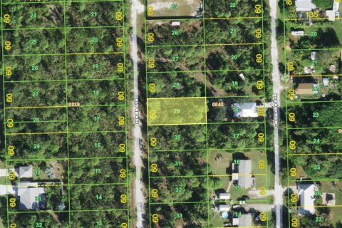 Land in Punta Gorda, Florida № 2394081 - photo 2