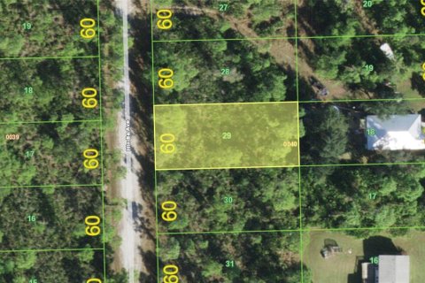 Land in Punta Gorda, Florida № 2394081