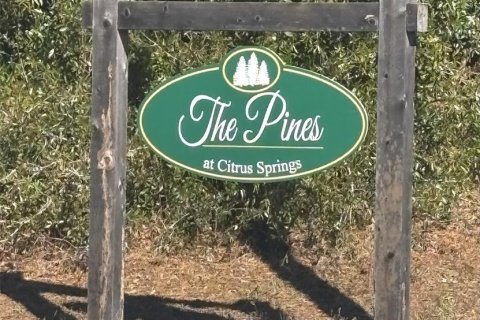 Купить виллу или дом в Ситрэс-Спрингс, Флорида 3 комнаты, 163.04м2, № 1531715 - фото 7