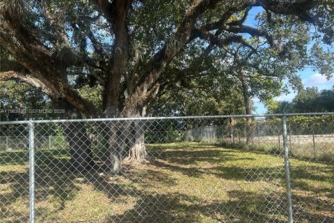 Immobilier commercial à vendre à Dania Beach, Floride № 2049988 - photo 3