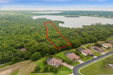 Land in Montverde, Florida № 1191382 - photo 9