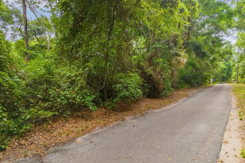 Land in Montverde, Florida № 1191382 - photo 12