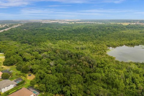 Land in Montverde, Florida № 1191382 - photo 10