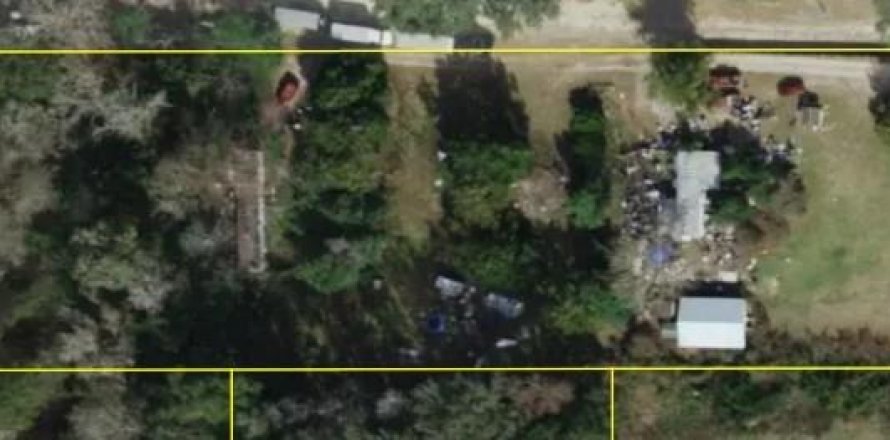 Commercial property in Belleview, Florida 256.04 sq.m. № 2239301