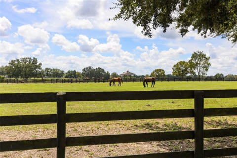 House in OCALA PRESERVE in Ocala, Florida 2 bedrooms, 204.01 sq.m. № 2347323 - photo 6