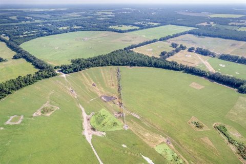 Land in Trenton, Florida № 1908782 - photo 22