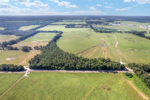 Land in Trenton, Florida № 1908782 - photo 7