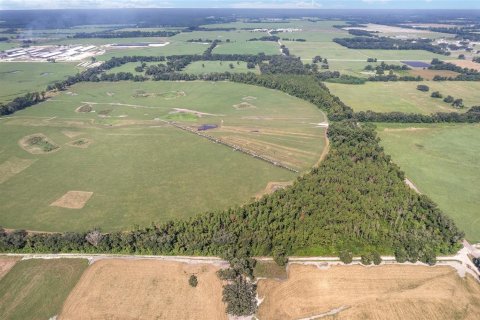 Land in Trenton, Florida № 1908782 - photo 30