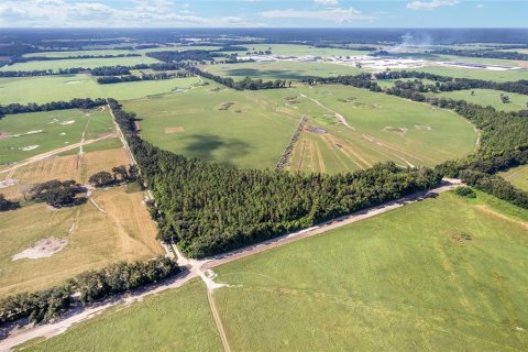 Land in Trenton, Florida № 1908782 - photo 8