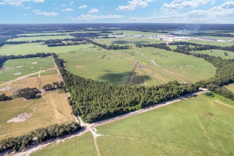 Land in Trenton, Florida № 1908782 - photo 9