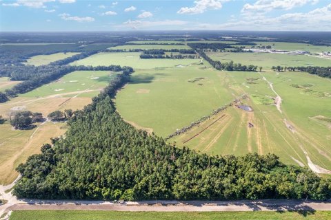 Land in Trenton, Florida № 1908782 - photo 14