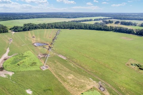 Land in Trenton, Florida № 1908782 - photo 24