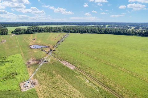 Land in Trenton, Florida № 1908782 - photo 25