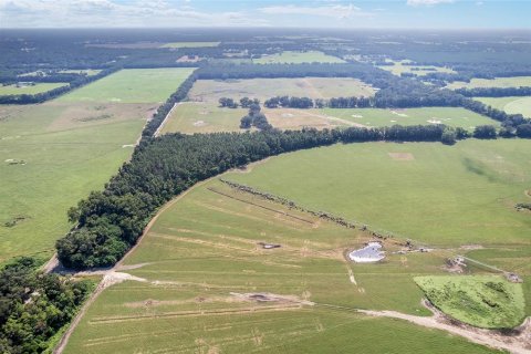 Land in Trenton, Florida № 1908782 - photo 20