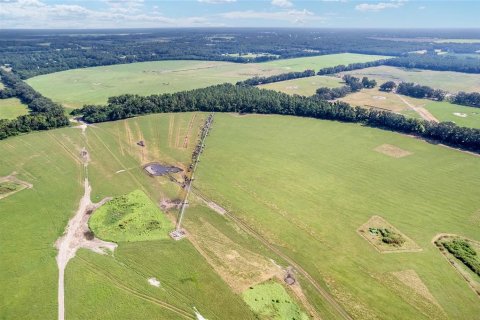 Land in Trenton, Florida № 1908782 - photo 23