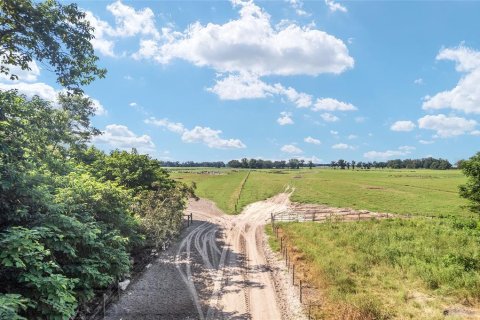 Land in Trenton, Florida № 1908782 - photo 1