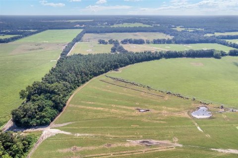 Land in Trenton, Florida № 1908782 - photo 19