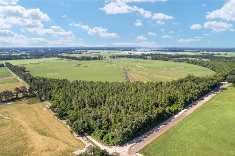 Land in Trenton, Florida № 1908782 - photo 10