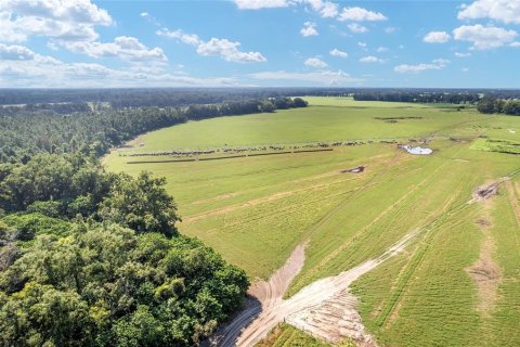 Land in Trenton, Florida № 1908782 - photo 3