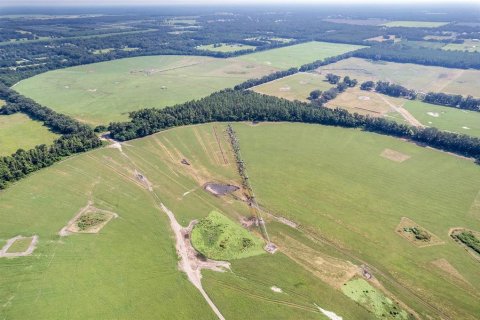 Land in Trenton, Florida № 1908782 - photo 21